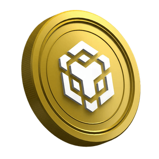 BNB coin featured on the beginner trader guide section